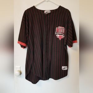 1993-94 Athletic Ravens Chicago Bulls Vintage Jersey